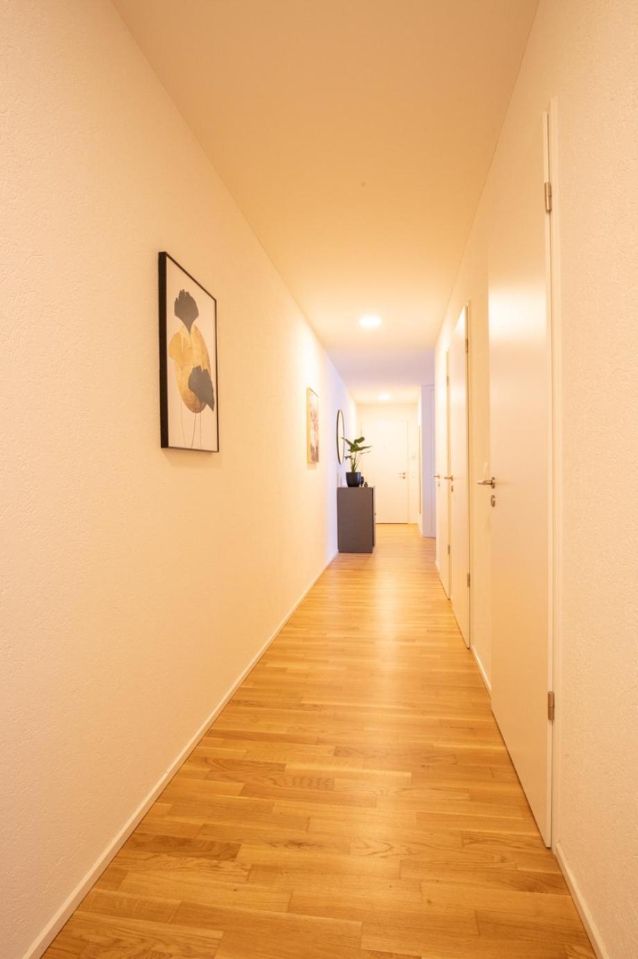 Special Einstein II Apartment Basel, Messe Kleinbasel 10-Star Dış mekan fotoğraf
