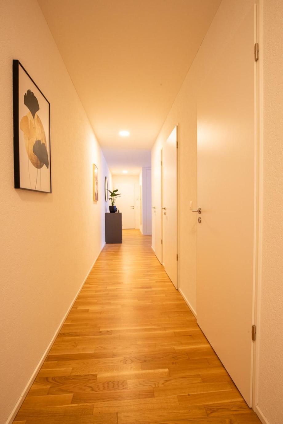 Special Einstein II Apartment Basel, Messe Kleinbasel 10-Star Dış mekan fotoğraf