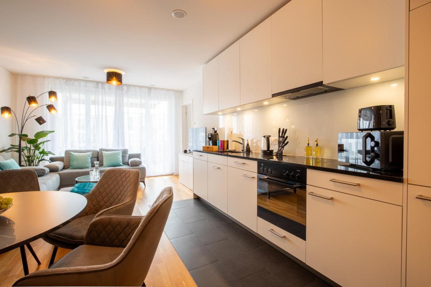Special Einstein II Apartment Basel, Messe Kleinbasel 10-Star Dış mekan fotoğraf